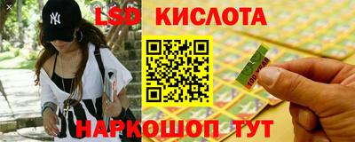 трава Кандалакша