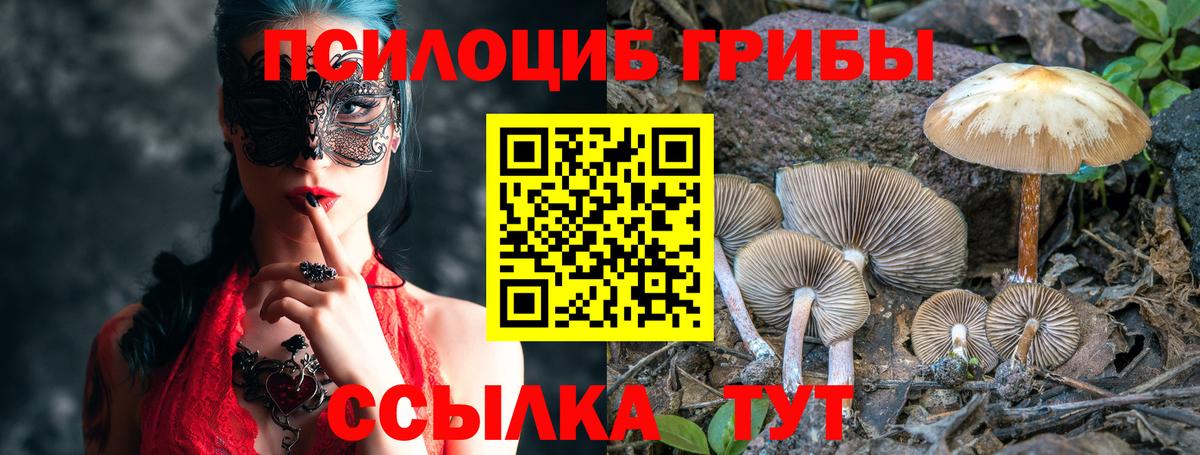 Псилоцибиновые грибы Magic Shrooms Елец