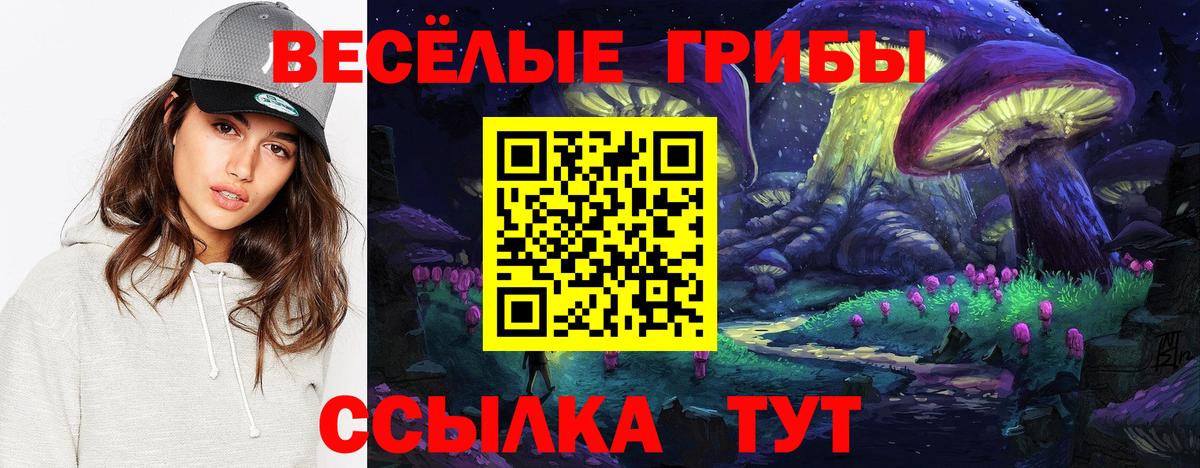 Галлюциногенные грибы прущие грибы  Вход с VPN  наркошоп  Елец 